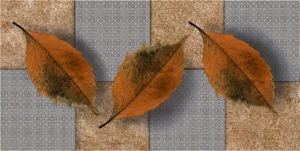 GC 12 069A 10G_MOD01(19AUG)_