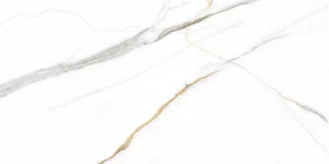 LNP 24 001A 10P_FACE 1