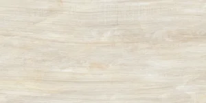 LNP 24 005A 10P_FACE 01