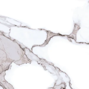 NPS 22 001A 10G FACE 04