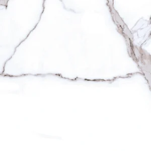 NPS 22 001A 10G FACE 05